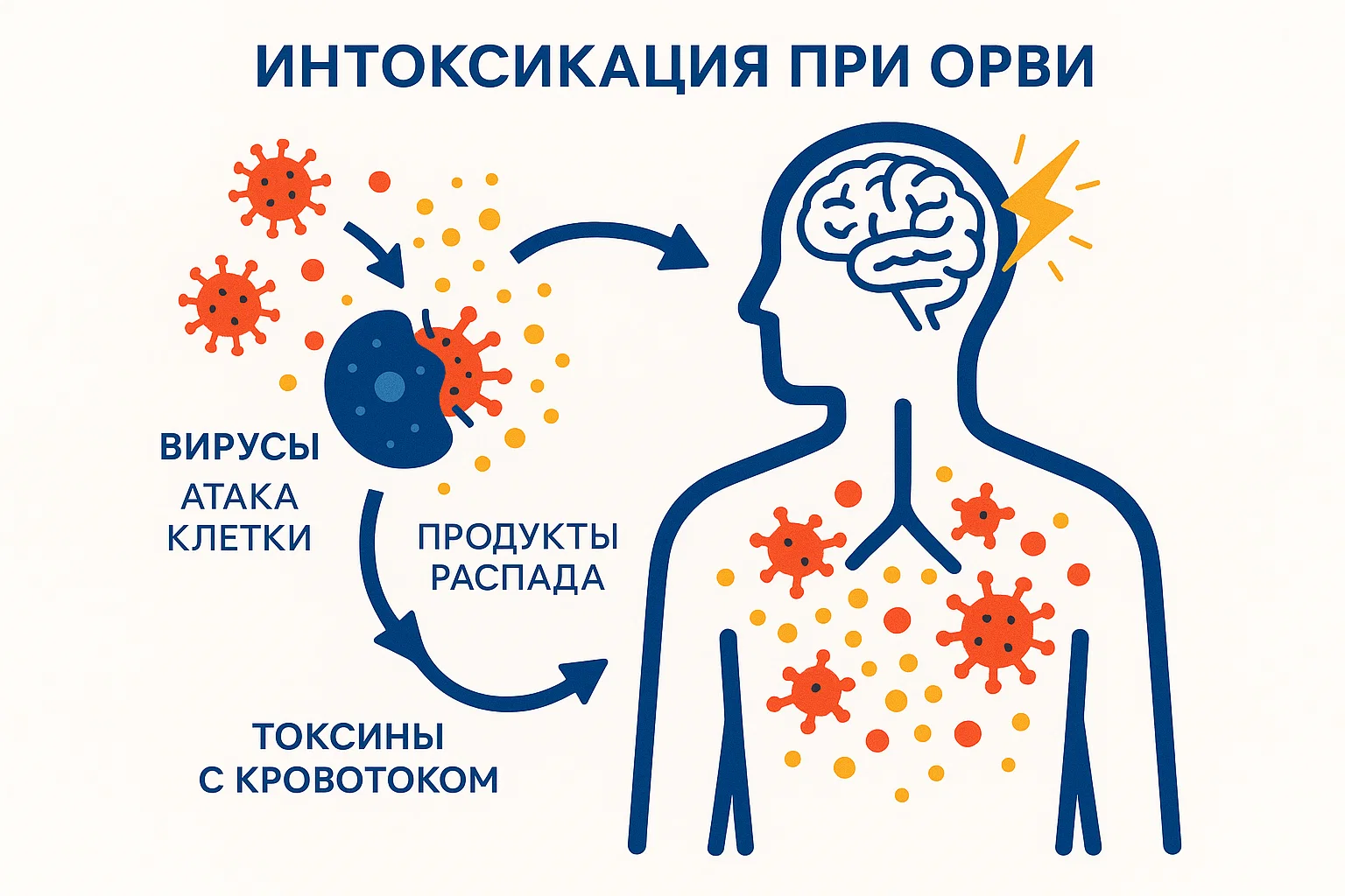 Интоксикация организма при вирусной инфекции